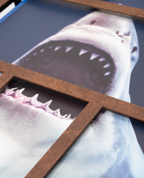 TASCHEN Книга Sharks. Michael Muller MULLERSHARKS
