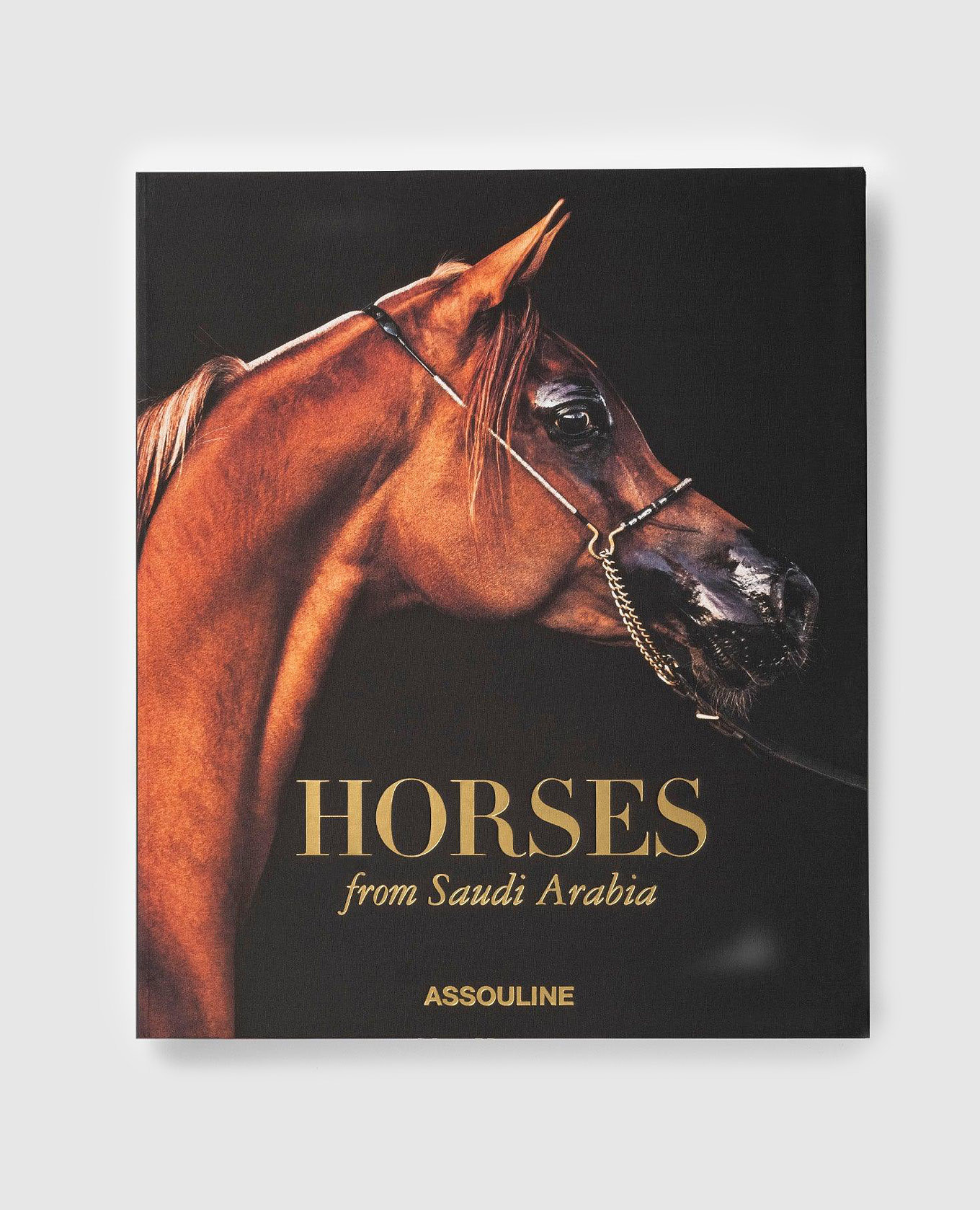

Книга HORSES FROM SAUDI ARABIA, Черный, Книги