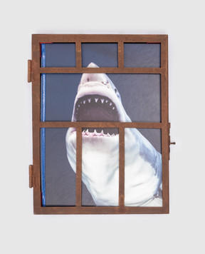 TASCHEN Книга Sharks. Michael Muller MULLERSHARKS